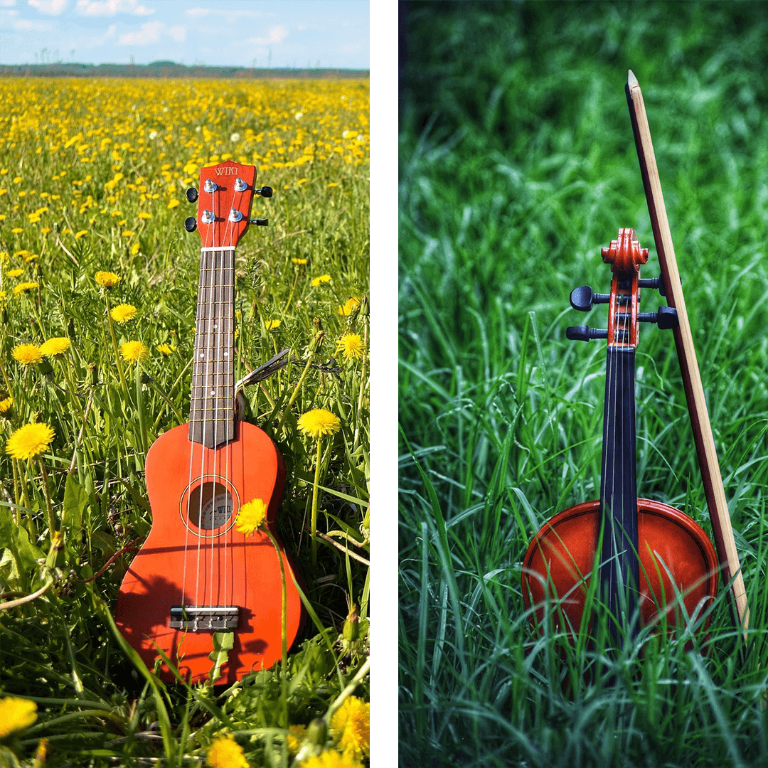 guitar and violin in nature picture