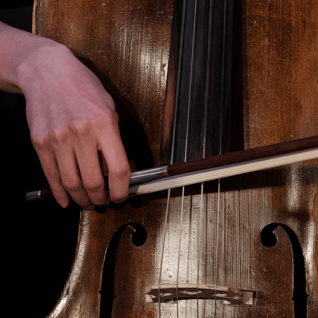close up of cello