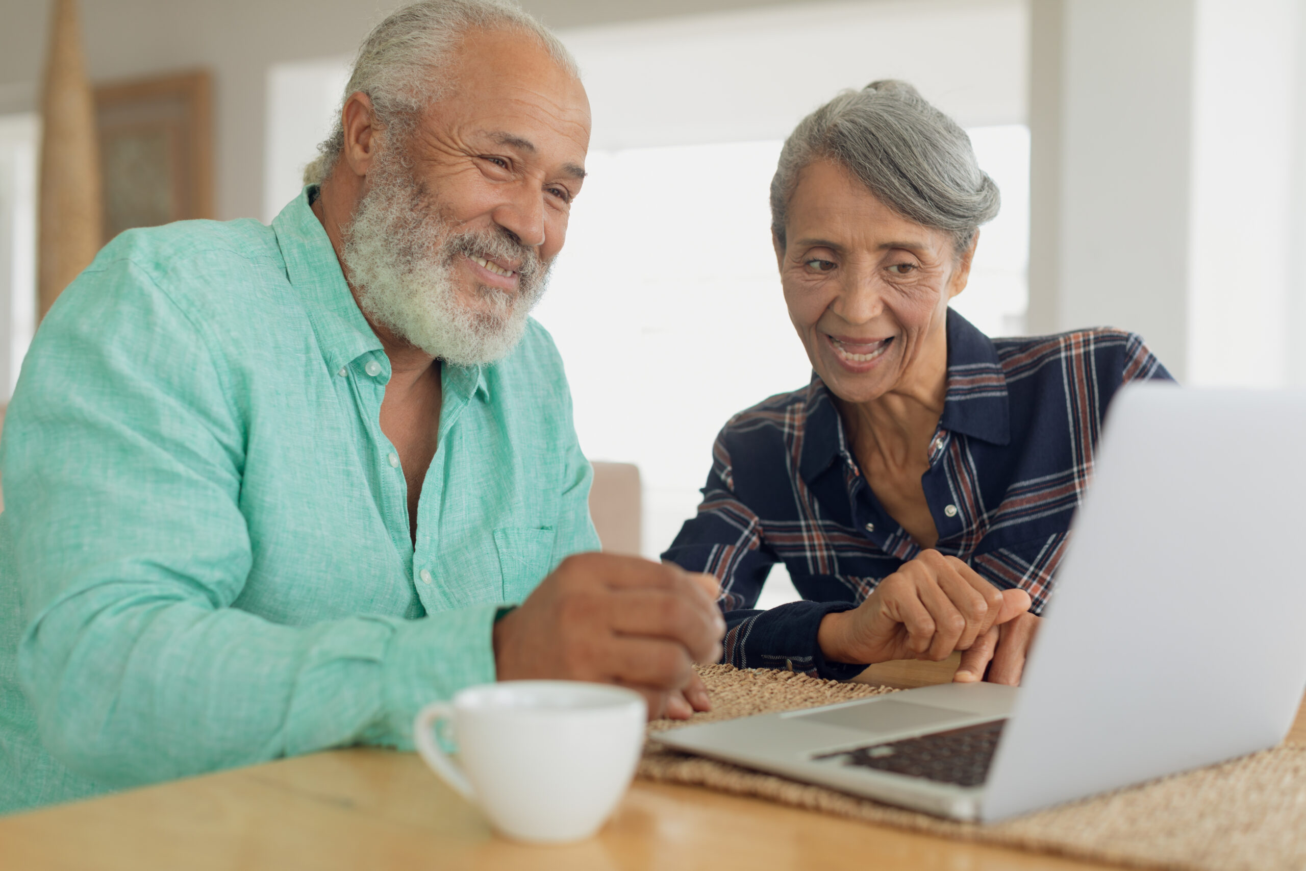 Elderly couple using computer.